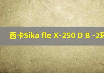 西卡Sika fle X-250 D B -2环氧